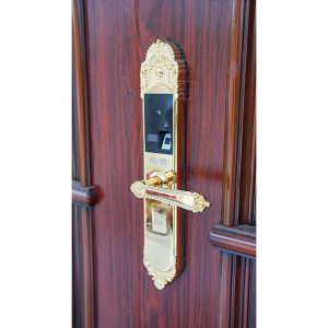 Cửa biệt thự thép vân gỗ 4 cánh Dominate H4 - Hoa Hằng Door